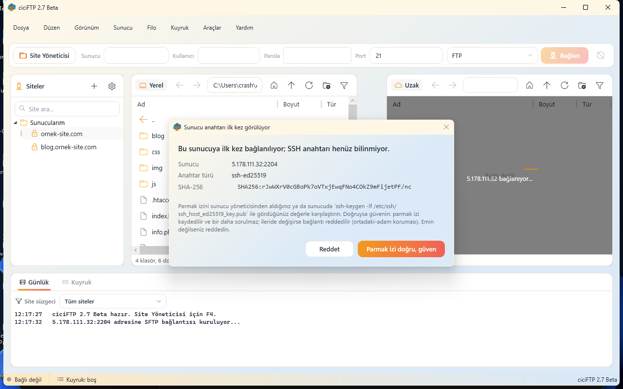 ciciFTP ana pencere — Gün Işığı teması